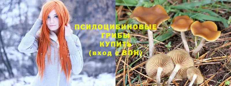 Псилоцибиновые грибы Psilocybine cubensis  дарнет шоп  Спас-Деменск 