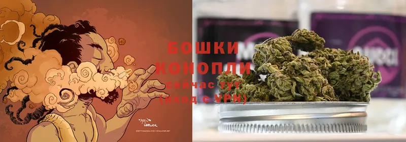 где продают   Спас-Деменск  Шишки марихуана Bruce Banner 